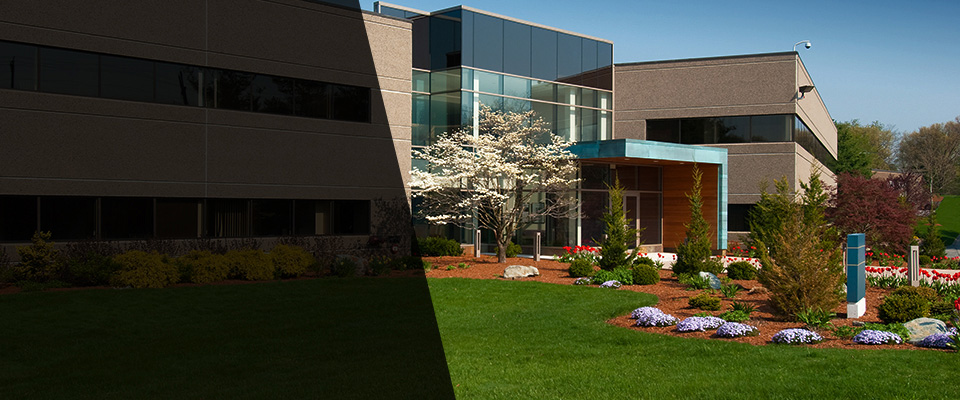 San Elizario Landscapers